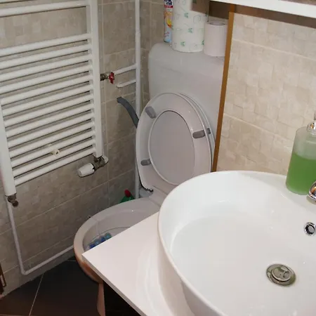 Apartment Tineretului *